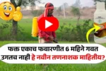 फक्त एका फवारणीत 6 महिने गवत उगतच नाही हे नवीन तणनाशक माहितीय का? Bayer Aliance Plus