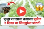 पुन्हा एकदा पावसाचा कहर! आयएमडीने दिला धोक्याचा अलर्ट तुमचा जिल्हा? Havaman Andaj Today