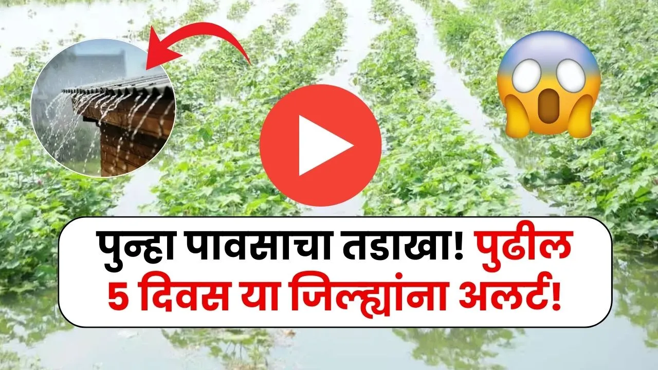 पुन्हा एकदा पावसाचा कहर! आयएमडीने दिला धोक्याचा अलर्ट तुमचा जिल्हा? Havaman Andaj Today