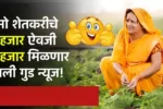 नमो शेतकरीचे 6 हजार ऐवजी 9 हजार मिळणार आली गुड न्यूज! Namo Shetkari Yojana Hafta