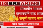 आज सोयाबीनने मोडला रेकॉर्ड! तब्बल 4,769 पर्यंत भाव तुमच्या बाजार समित्यांमध्ये किती मिळाले? Soyabean Bajar Bhav